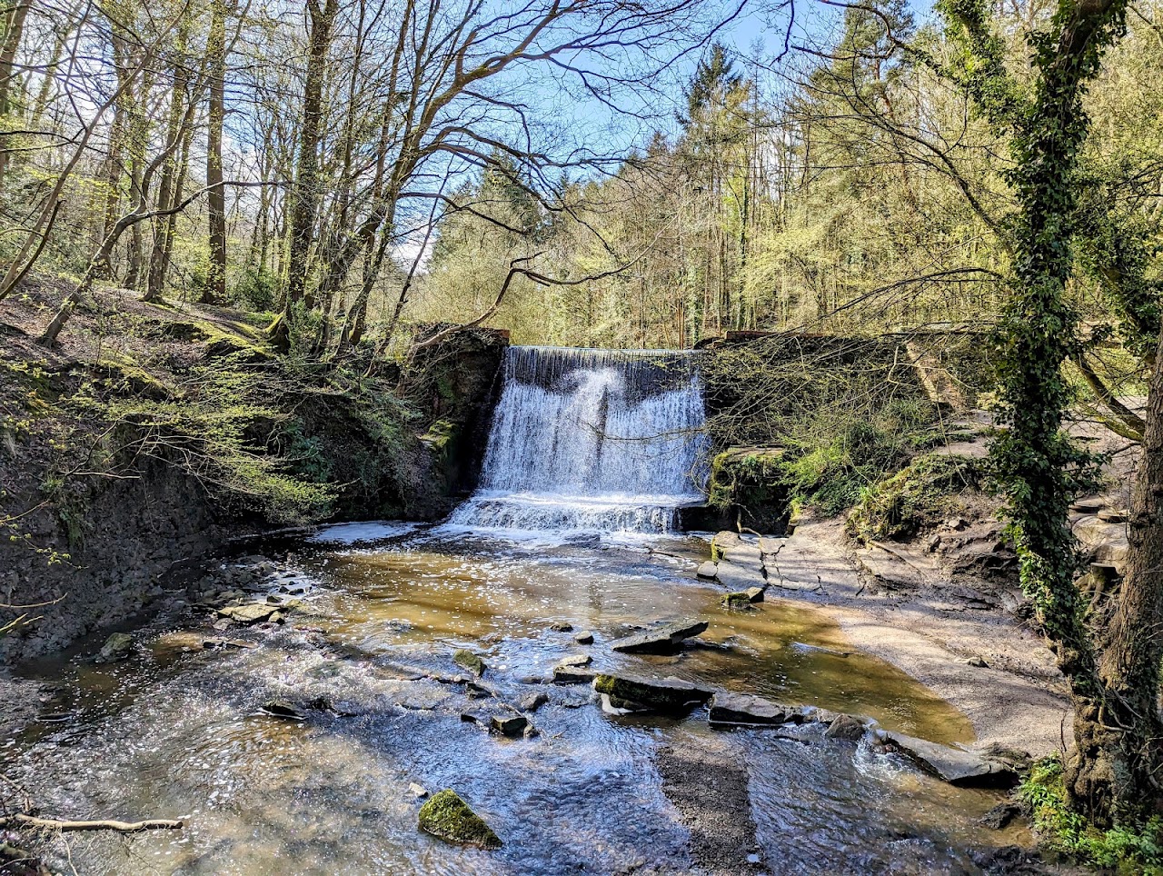 Wepre Park