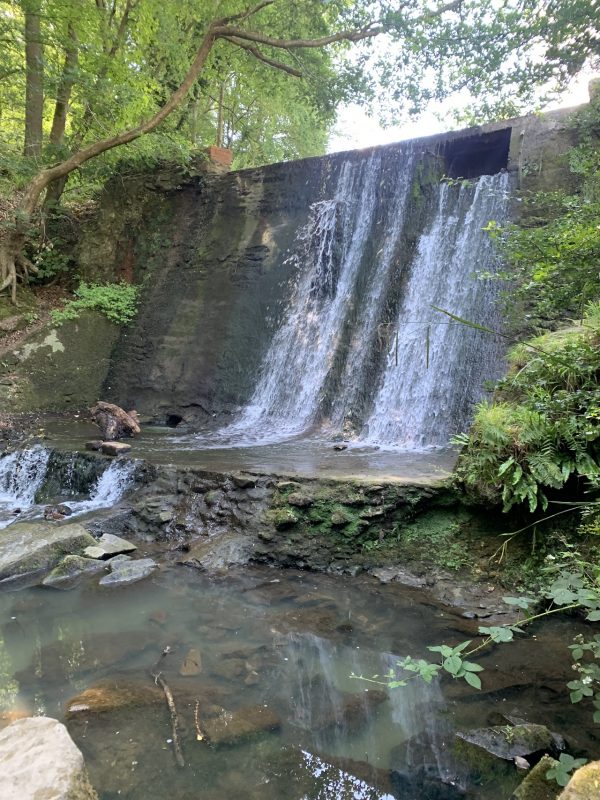 Wepre Park