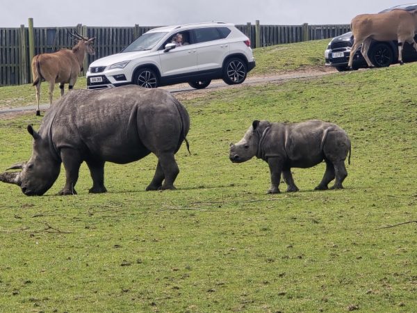 West Midlands Safari Park