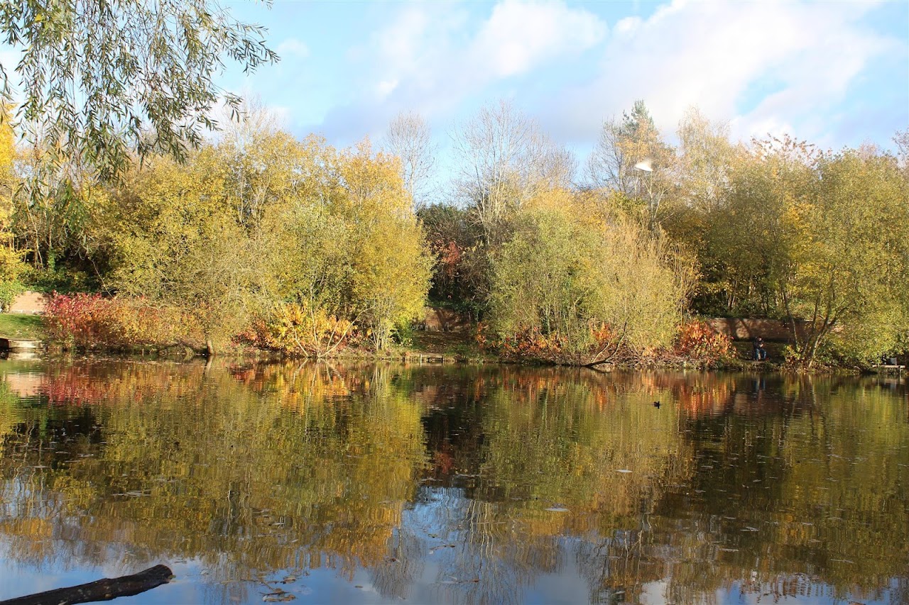 Westmorland Park