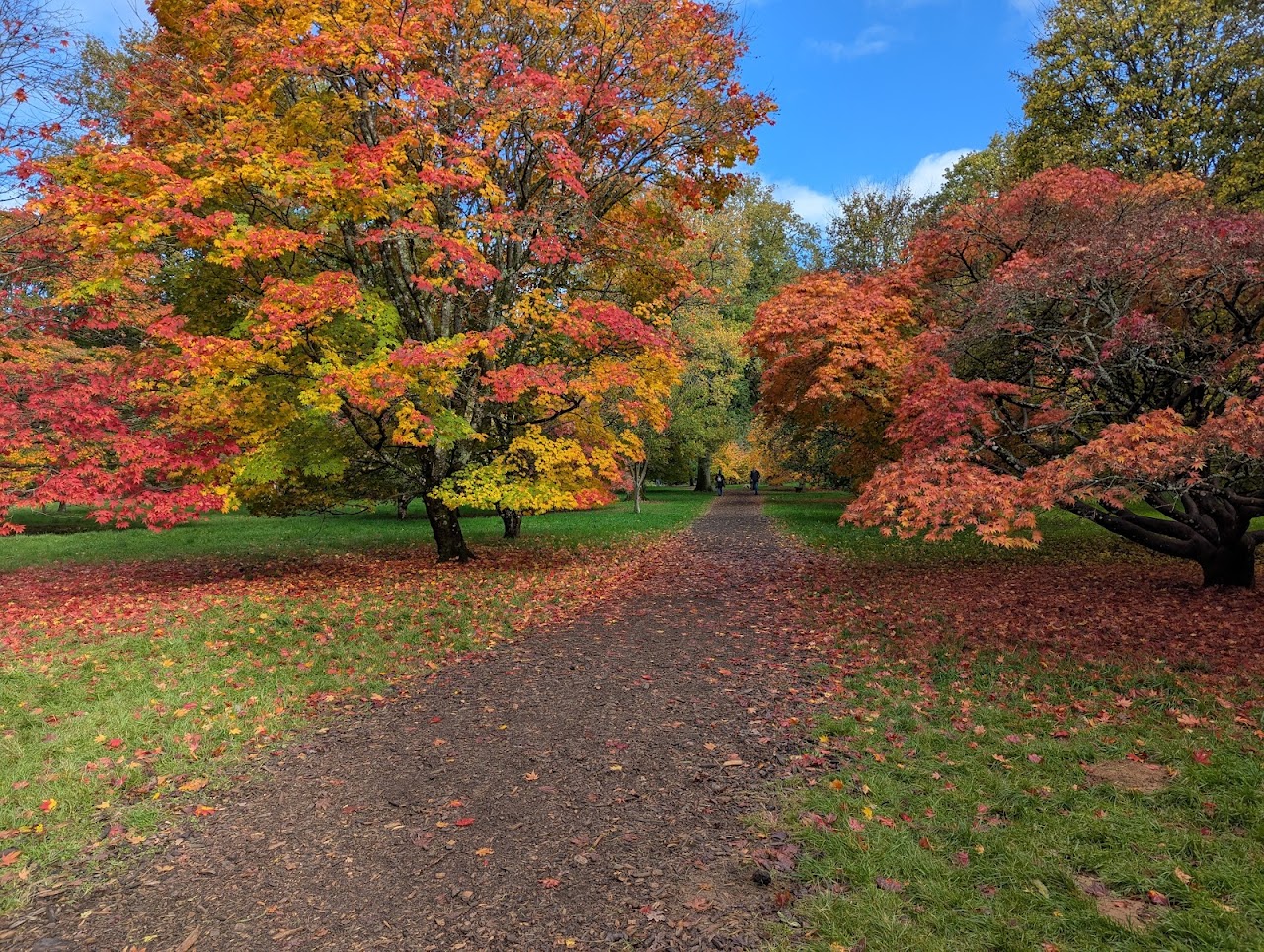 Westonbirt The National Arboretum