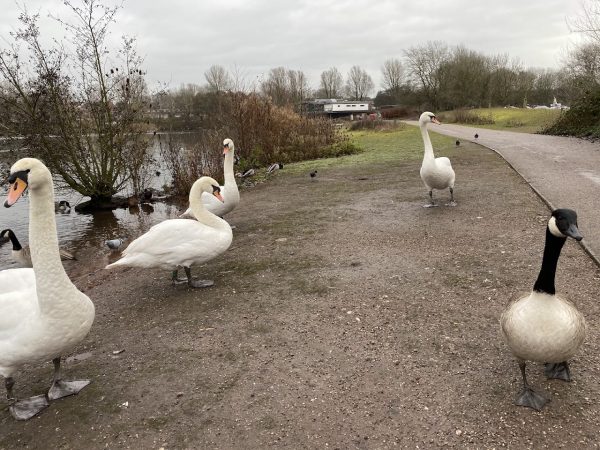 Westport Lake Play Area