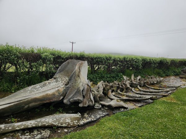 Westray Heritage Centre
