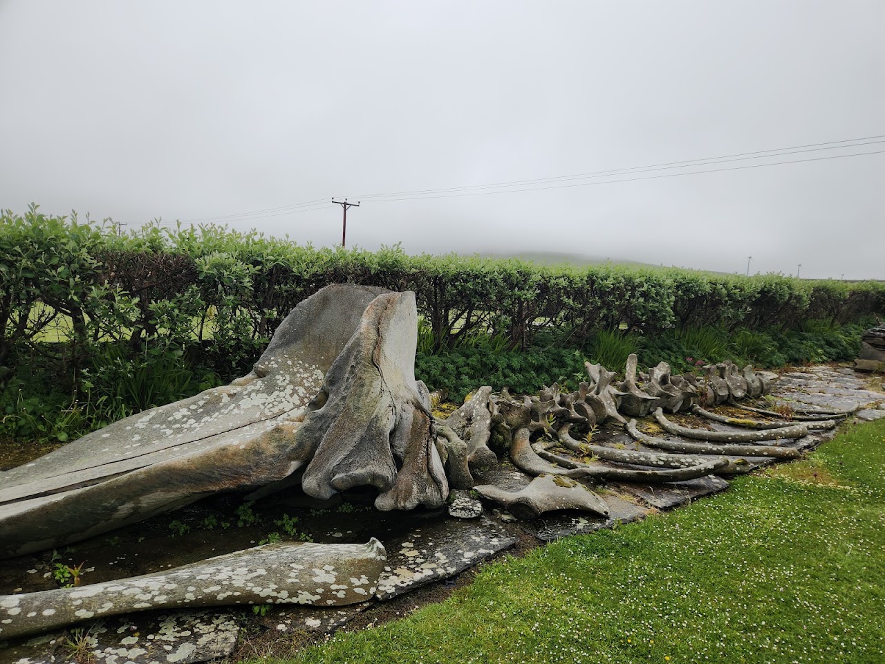 Westray Heritage Centre