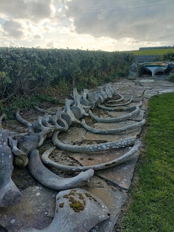 Westray Heritage Centre