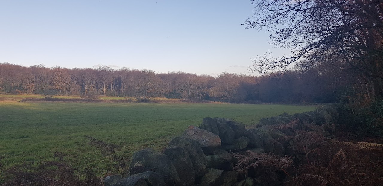 Wheata Woods