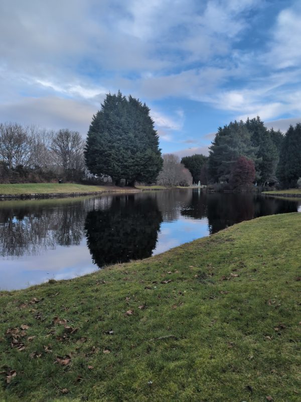 Whin Park
