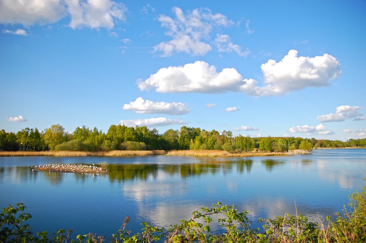 Whisby Nature Park
