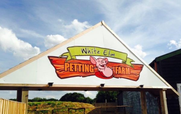 White Elm Petting Farm