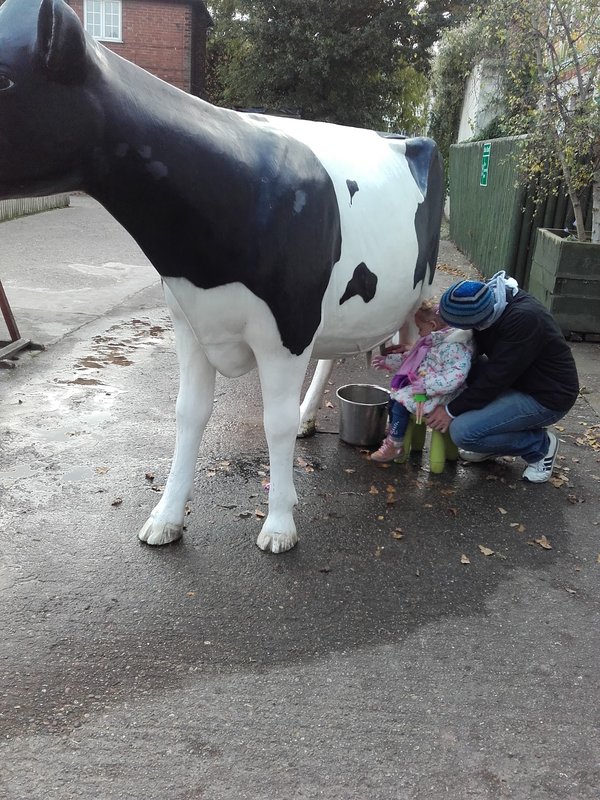 White Post Farm Centre