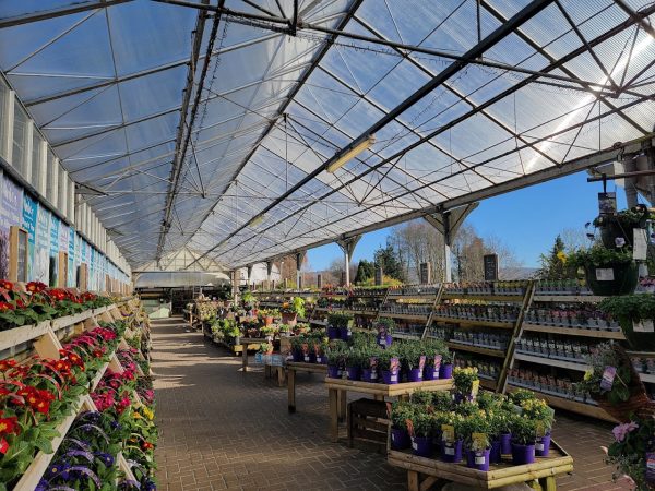 Whitehall Garden Centre