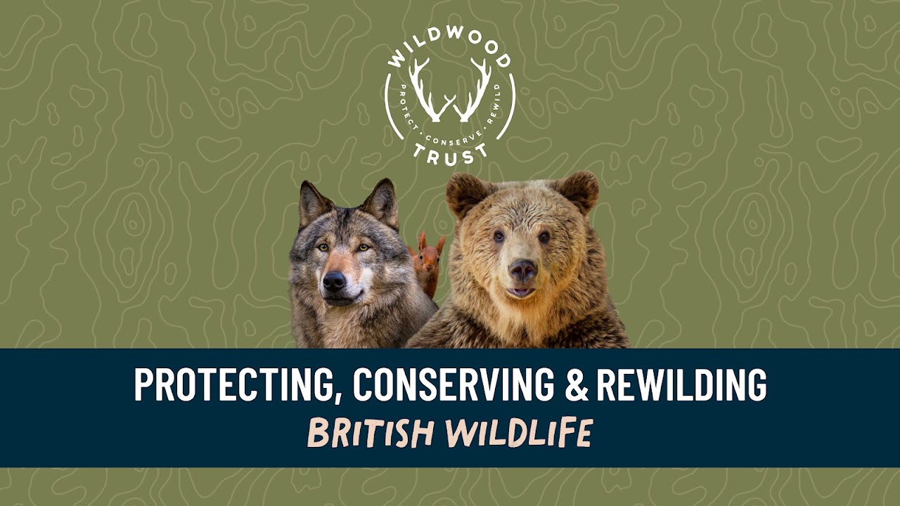 Wildwood Escot