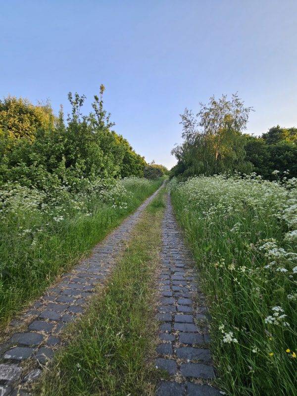 Wincobank Hill