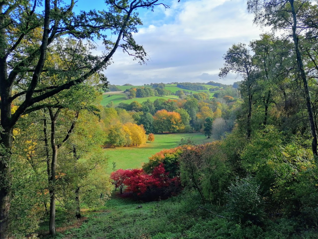 Winkworth Arboretum - National Trust