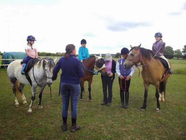 Witney Pony Partners