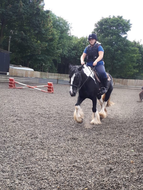 Woldgate Trekking and Livery Centre