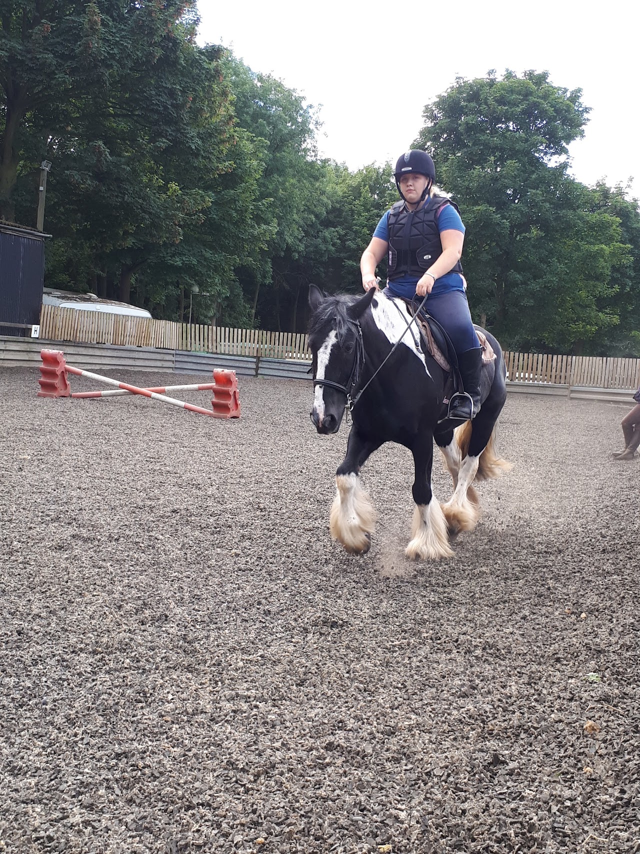 Woldgate Trekking and Livery Centre