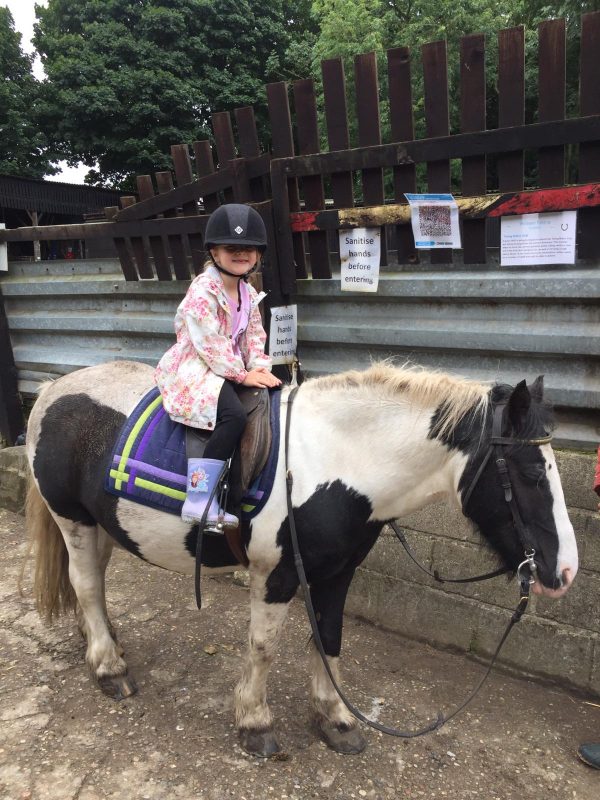 Woldgate Trekking and Livery Centre