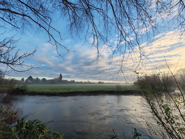 Wolseley Centre