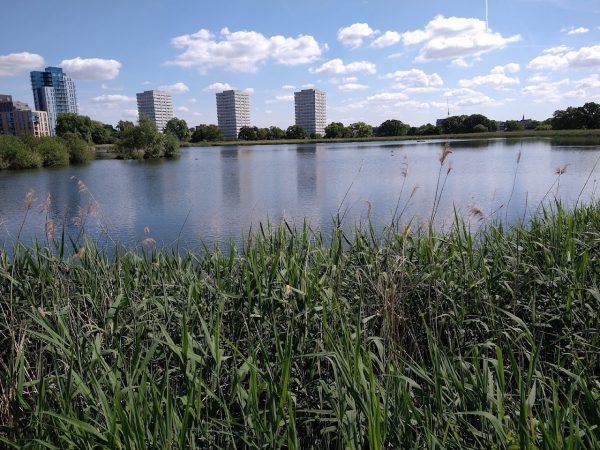 Woodberry Wetlands
