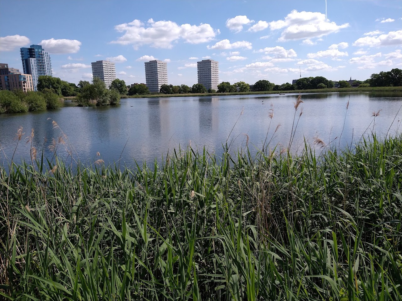 Woodberry Wetlands