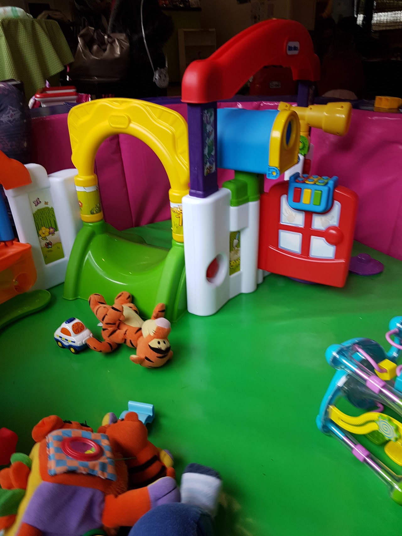 Woodlands Play Gym
