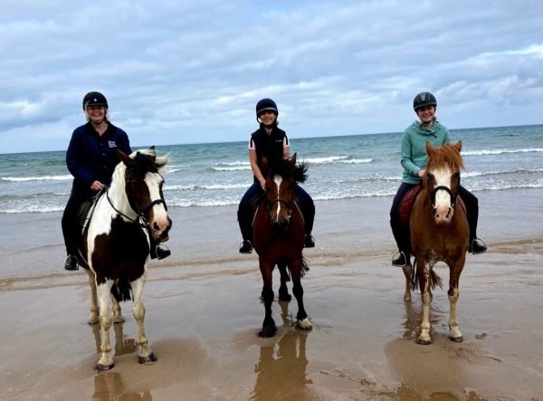 Woolacombe Riding Stables