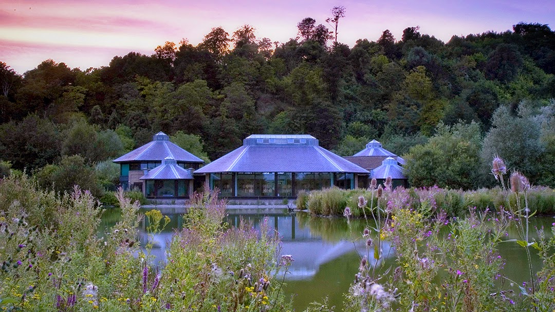 WWT Arundel Wetland Centre