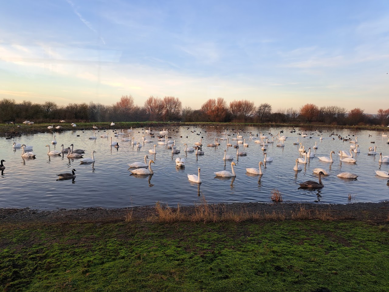 WWT Caerlaverock Wetland Centre