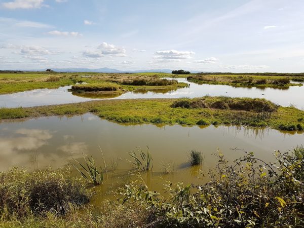 WWT Caerlaverock Wetland Centre