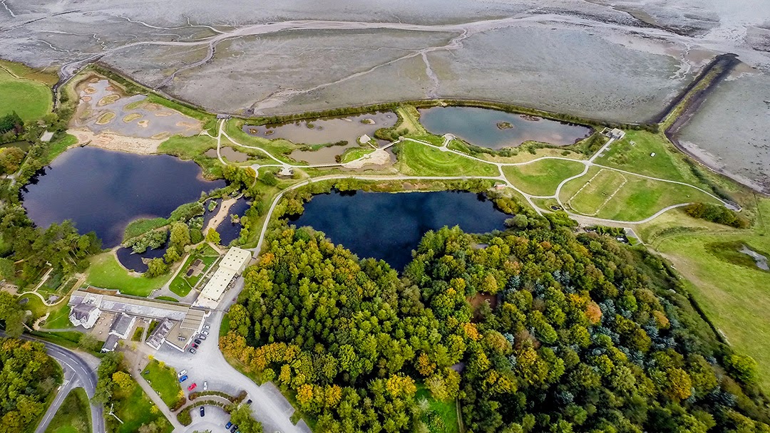 WWT Castle Espie