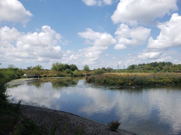 WWT Llanelli Wetland Centre