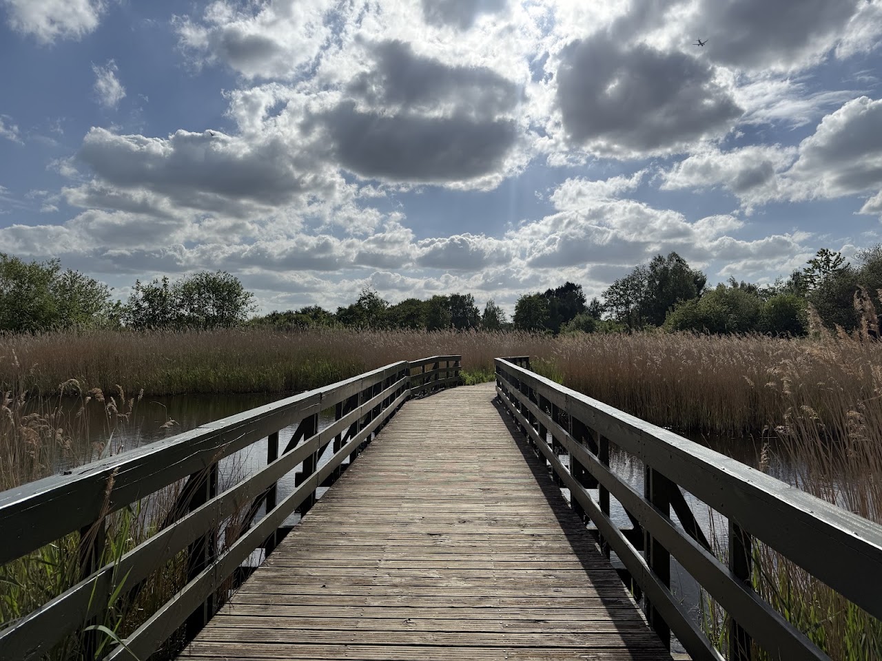 WWT London wetland centre