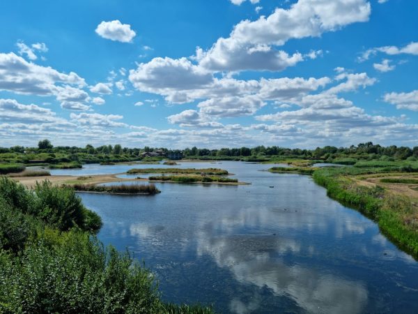 WWT London wetland centre
