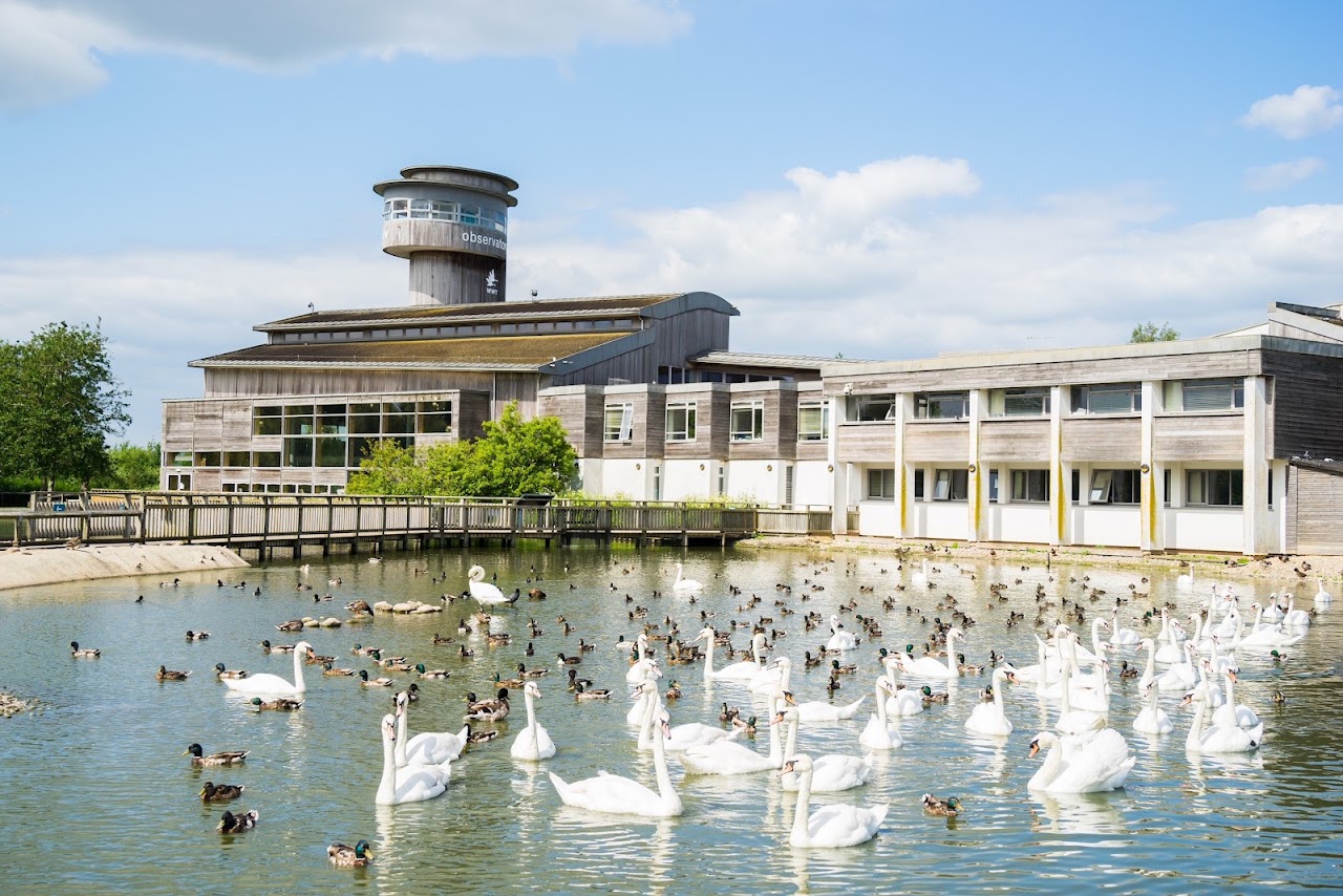 WWT Slimbridge Wetland Centre