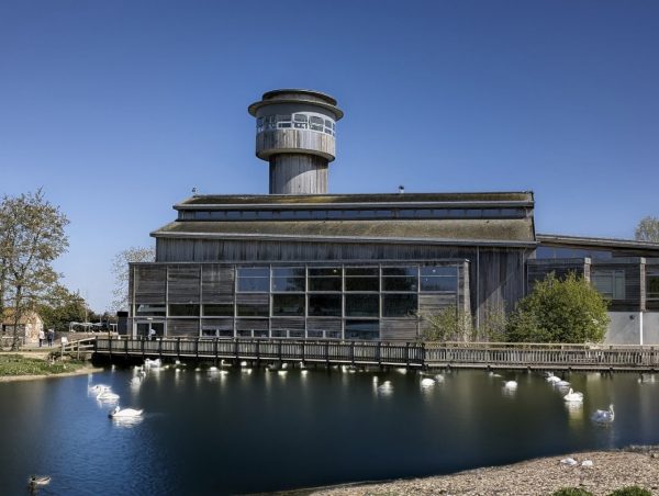WWT Slimbridge Wetland Centre