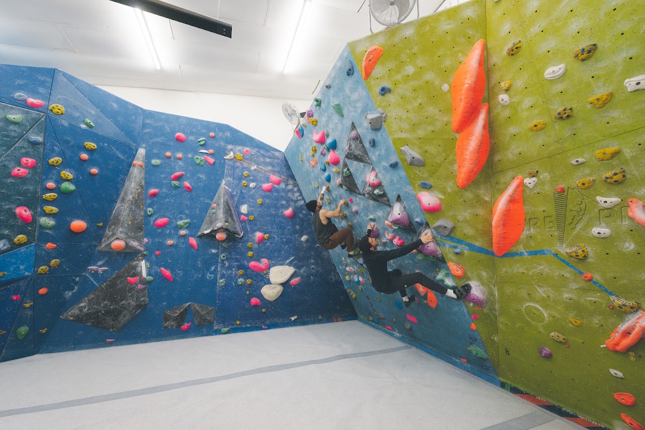 Yellow Spider Climbing