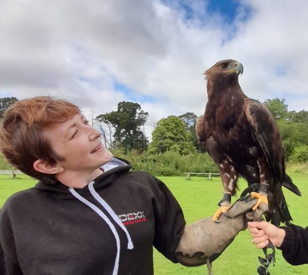 York Bird of Prey Centre