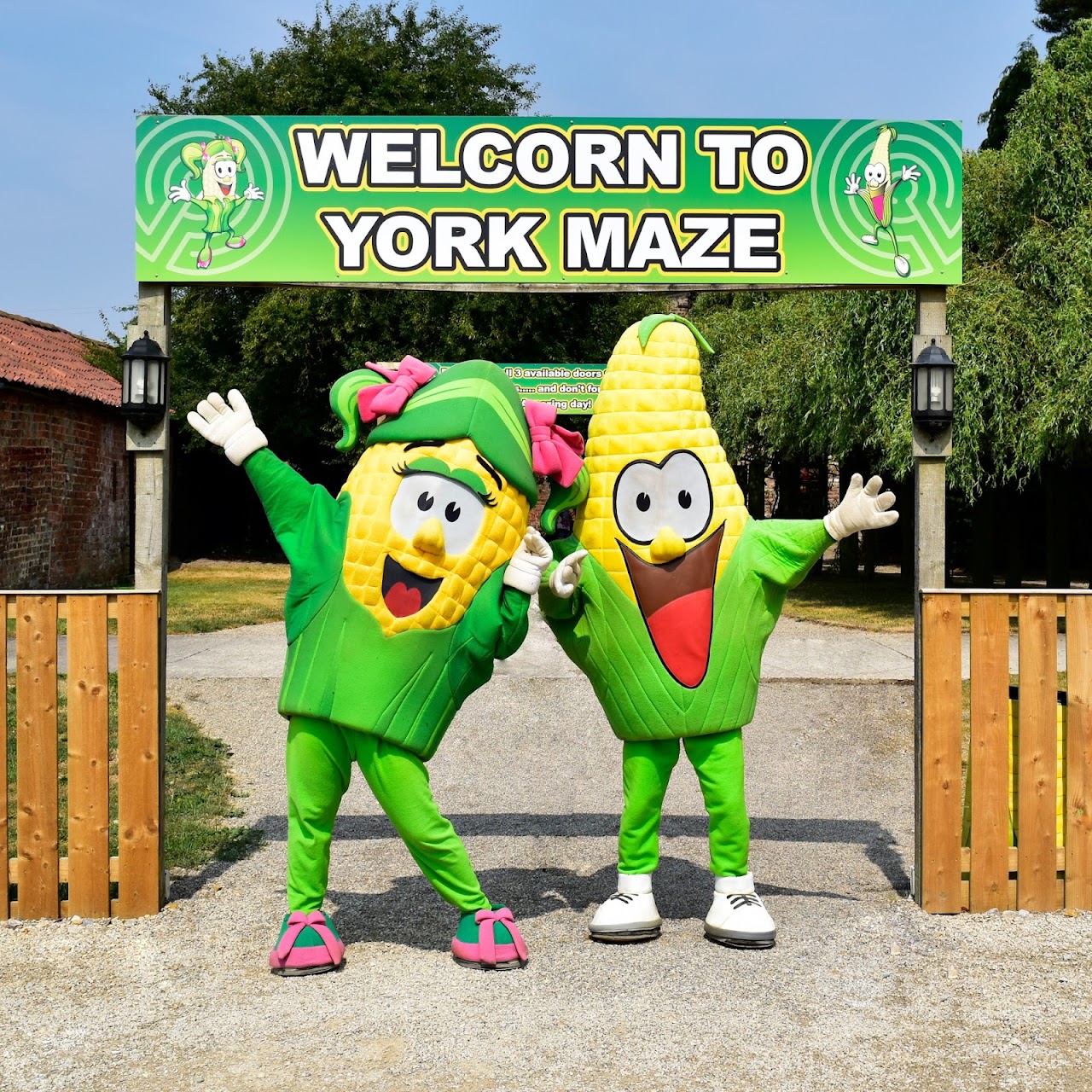 York Maze