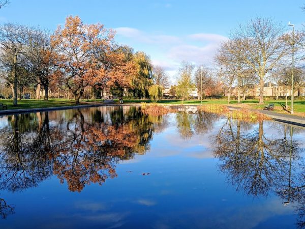 Zetland Park