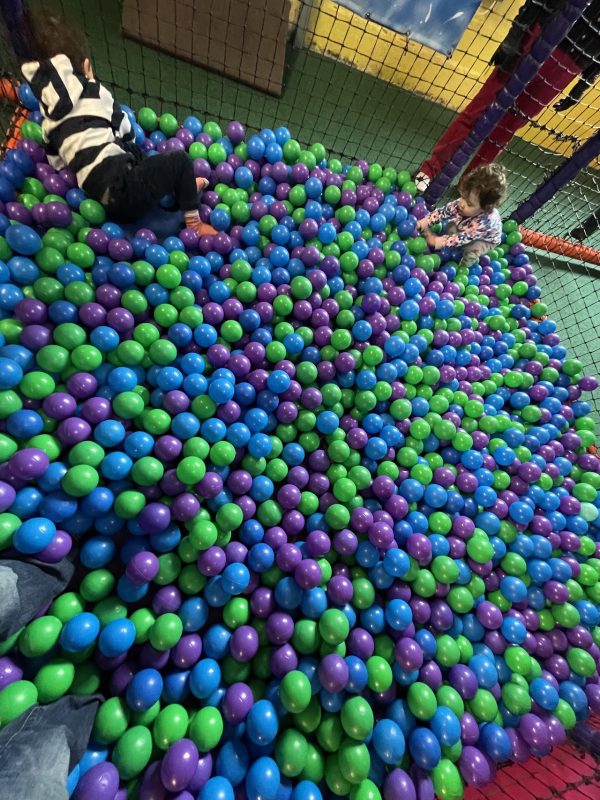 Zippy's Playworld