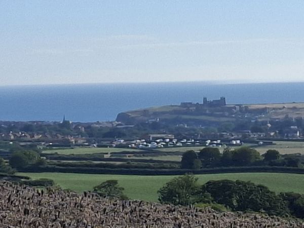 Abbey Farm Showfield