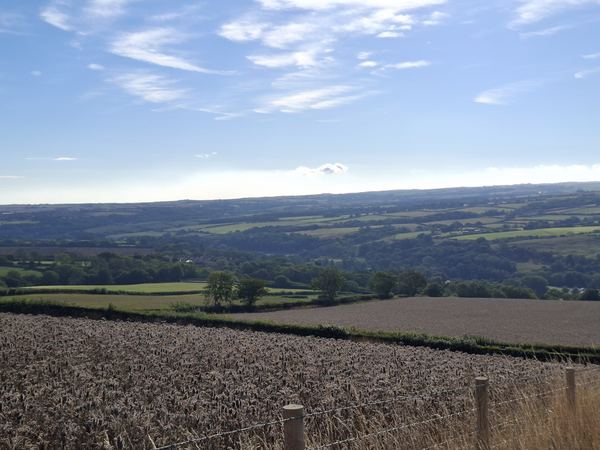 Abbey Farm Showfield