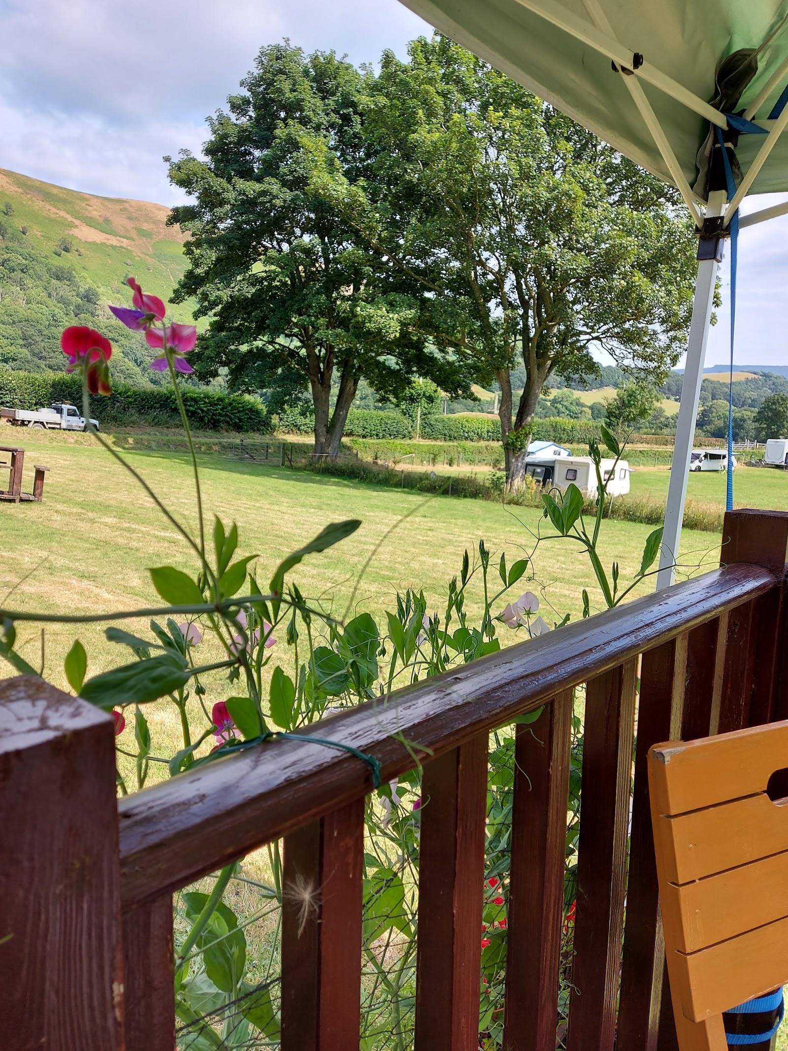 Abbey Farm Caravan and Camping