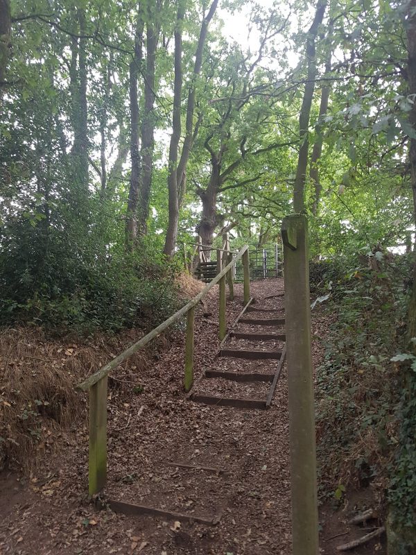Acorns Caravan Park