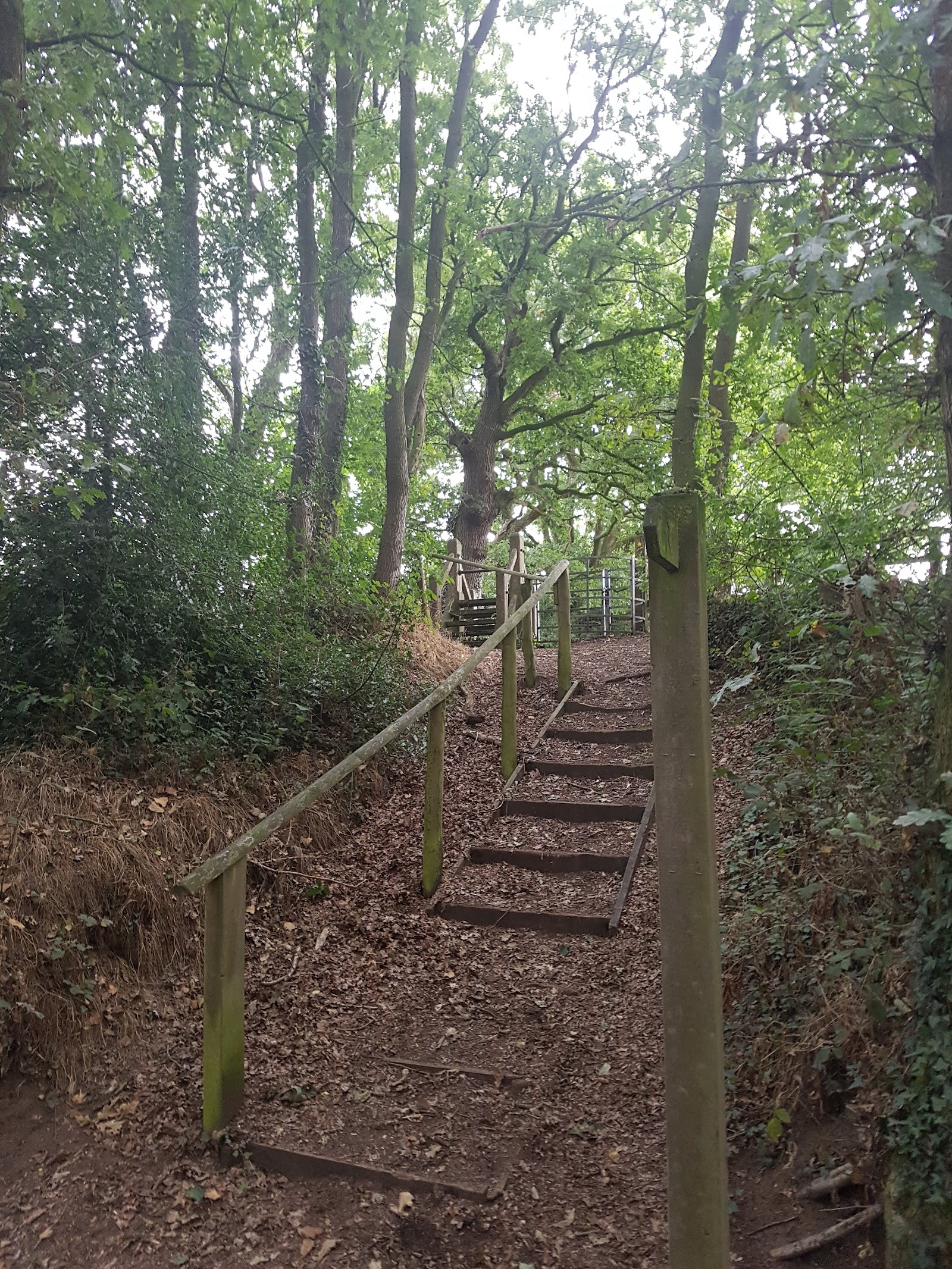 Acorns Caravan Park