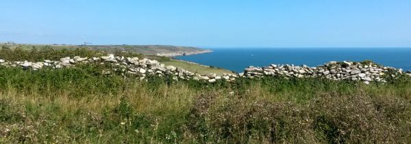 Acton Field Camping Site