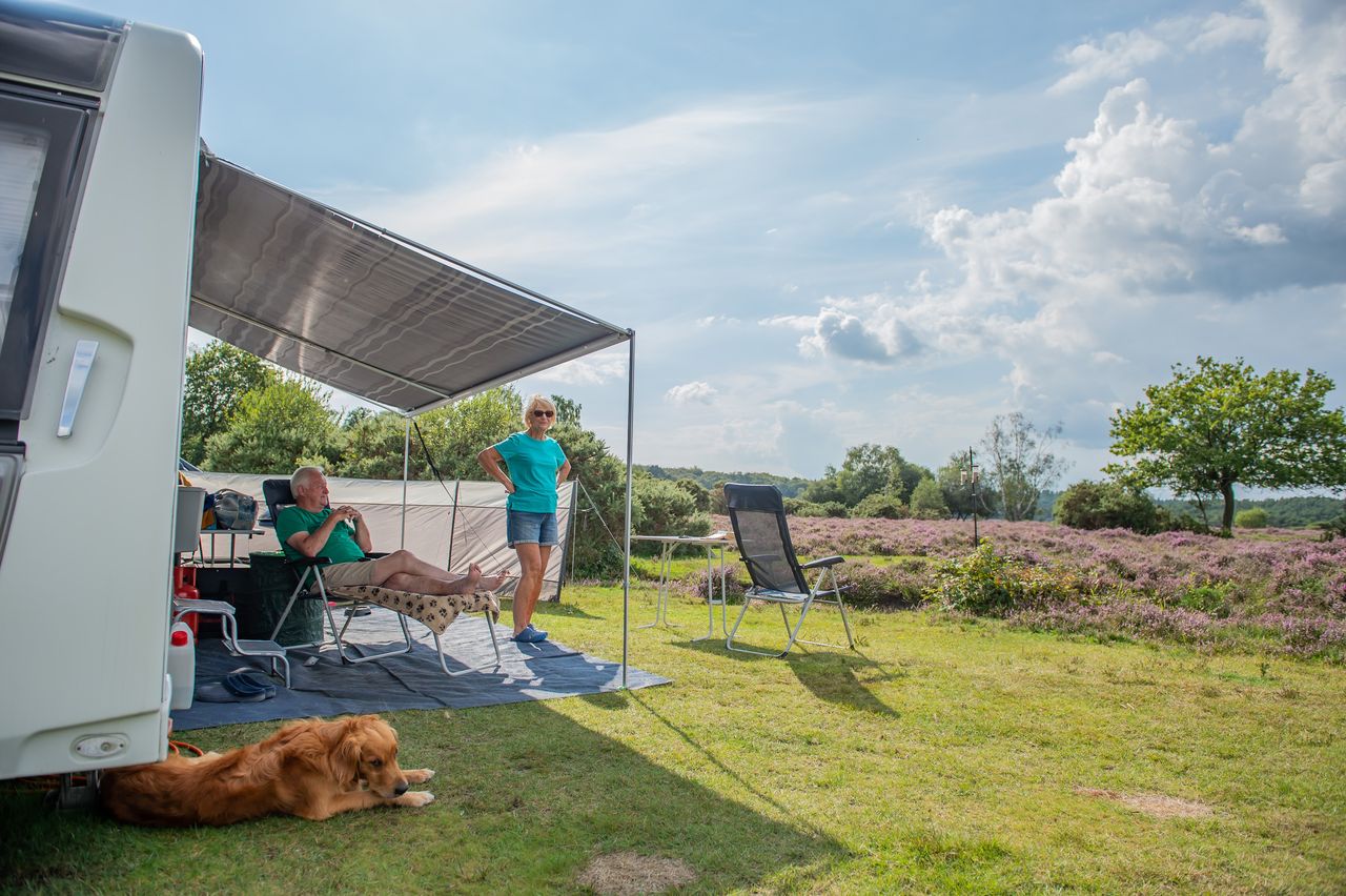 Aldridge Hill Campsite