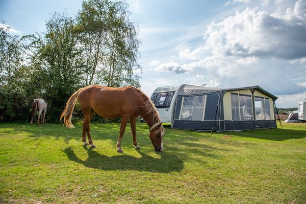 Aldridge Hill Campsite