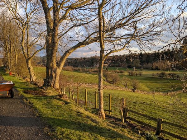 Allendale Caravan Park